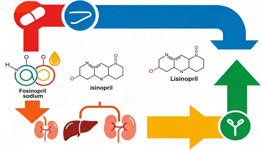 The difference between Fosinopril Sodium and Lisinopril The difference between Fosinopril Sodium and Lisinopril